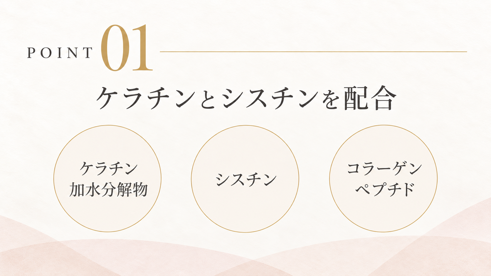 POINT. 01