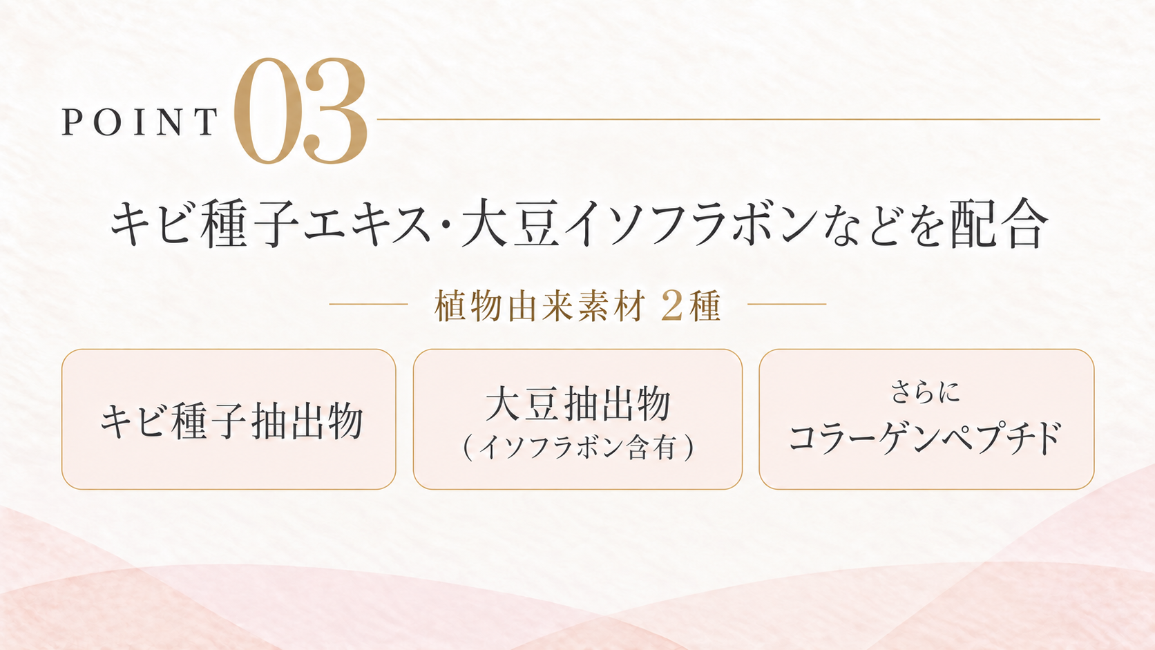 POINT. 03